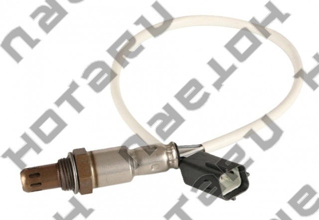 HOS-0204