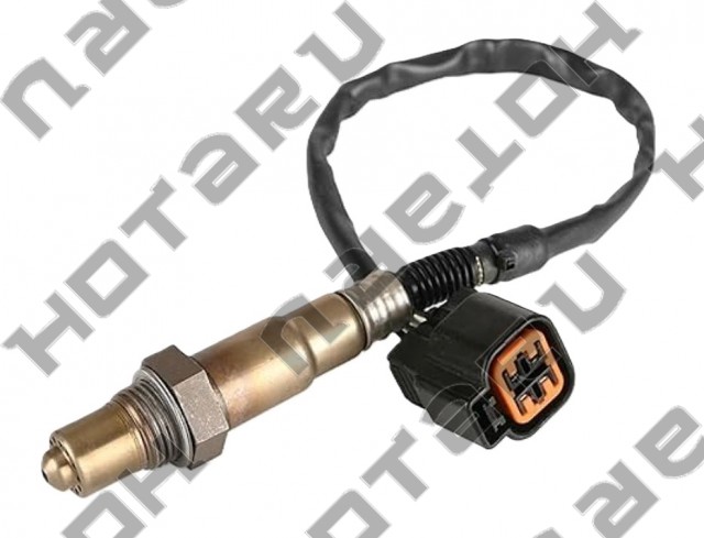 HOS-1204