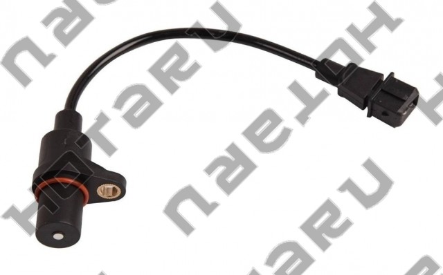 HSE-1204