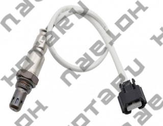 HOS-0202