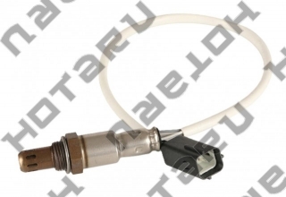 HOS-0204