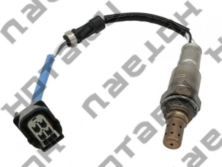 HOS-0302