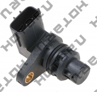 HSE-0521